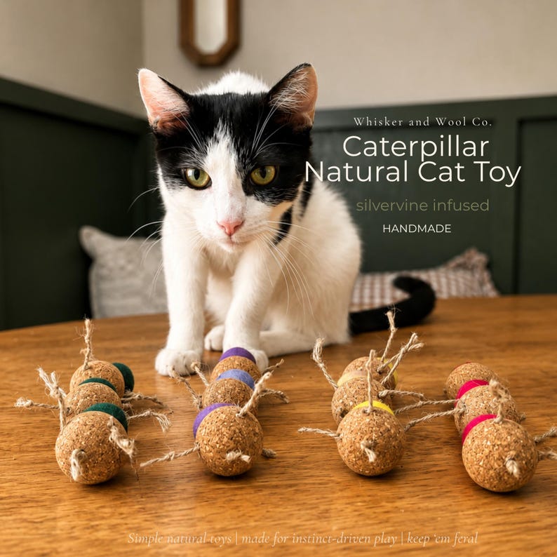 May include: A black and white cat sits on a wooden table, looking at several caterpillar-shaped cat toys. The toys are made of cork and colorful bands, with twine legs. Text on the image reads "Caterpillar Natural Cat Toy" and "silvervine infused".