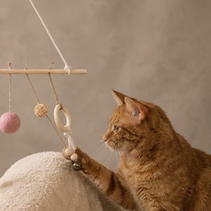 May include: A hanging cat toy featuring a horizontal wooden dowel suspended by a white cord. Three dangling elements hang from the dowel: a pink felt ball, a small woven rattan sphere, and a wooden ring with small wooden beads and a metal bell.