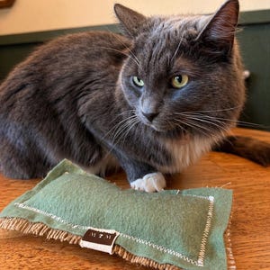 May include: A gray cat with green eyes sits near a green rectangular cat toy. The toy has a white stitched border and a brown burlap fringe. A small brown tag with white text is attached to the toy.