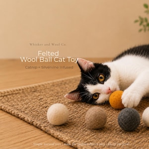 Può includere: Un gatto bianco e nero che gioca con una piccola pallina di lana infeltrita arancione. Altre palline di lana infeltrita color crema, beige e grigio scuro sono disposte vicino. Il testo recita: Whisker and Wool Co. Felted Wool Ball Cat Toy.