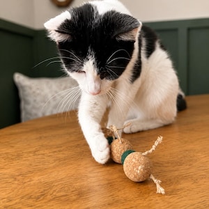 May include: A black and white cat playing with a cat toy made of cork balls and green felt. The cat is on a wooden table, with a green wall and a decorative mirror in the background.