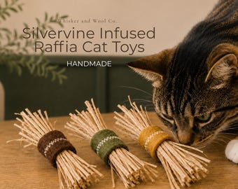 Silvervine Infused Raffia Cat Toys – Natural Wool Felt Wrapped Enrichment (Set of 3)