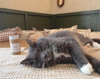 Loose Catnip & Catnip Sack Toy | Silvervine + Catnip Blend | Natural Catnip for Cats | 10g, 15g, 25g Options