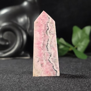 Rhodonite Tower - 2.68 Inch Pink Crystal Point - Black Veining Stone - Small Display Crystal
