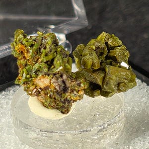 Pyromorphite Specimens (2) - Gongcheng, Guangxi, China - Crystal Thumbnail in Perky Box - Collector Mineral