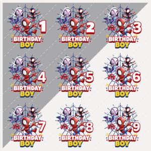 May include: A set of nine birthday-themed designs featuring the Spider-Man character. Each design includes a number from one to nine, the words "BIRTHDAY BOY", and other Spider-Man characters. The designs are in red, blue, white, and yellow.