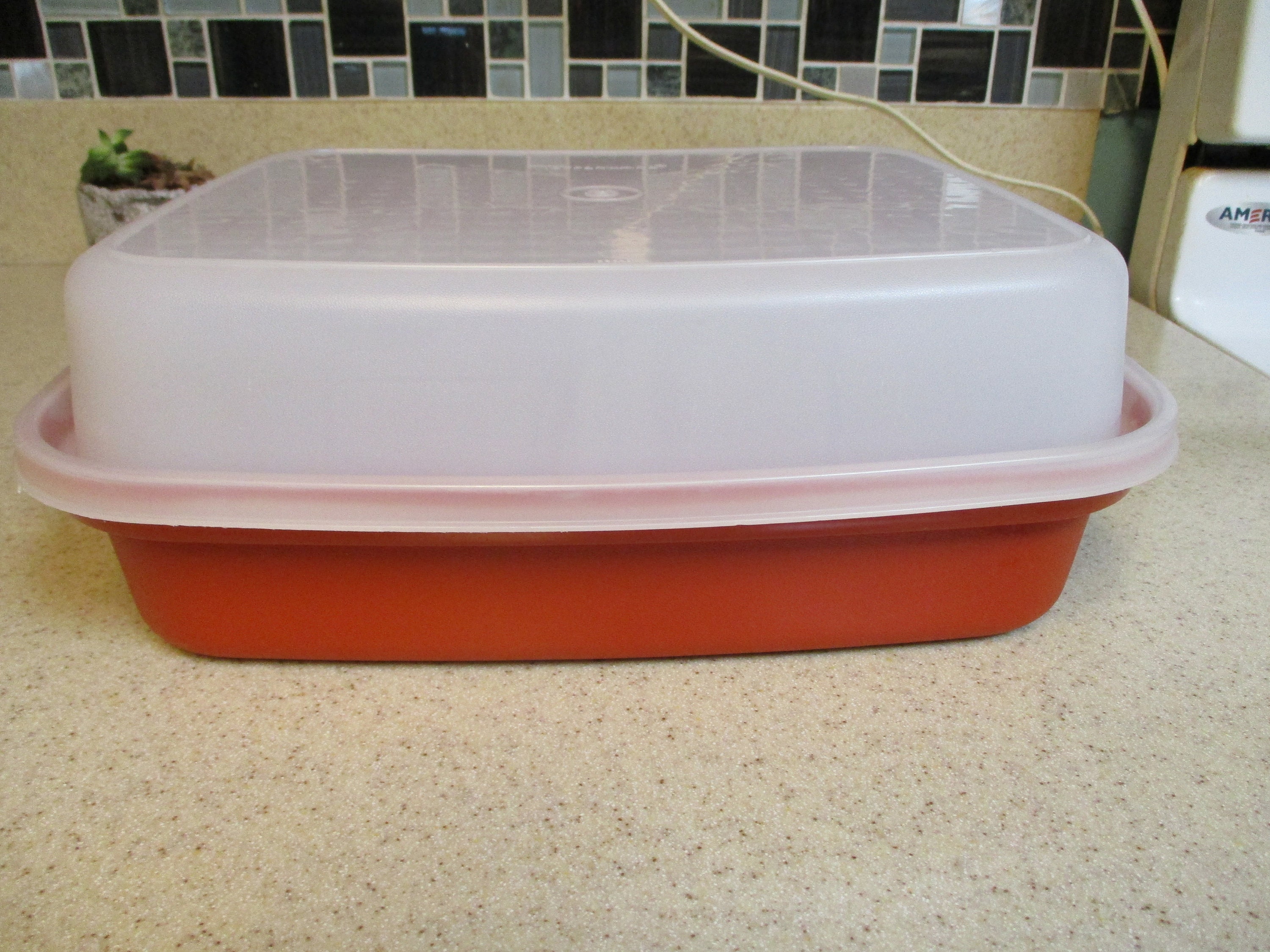 Tupperware Season Serve Marinade Container 1294-8 and Lid 1295-5 Made in  USA