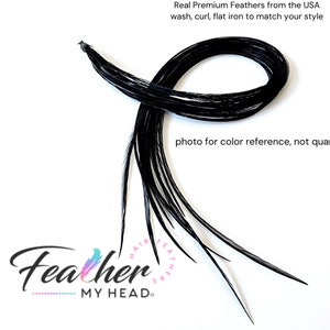 Black Hair Feather Extensions. (1) Feather, Long Lengths and Hair Feather Kit Available
