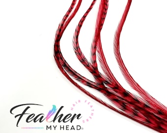 Burgundy Red Hair Feather Extensions. (1) Feather, Long Lengths and Hair Feather Kit Available