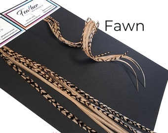 Brown Feather Hair Extension Kit, (6) Real Feathers with Optional DIY Kit, Pick Your Length Short Feathers up to 16" Long - Fawn Brown