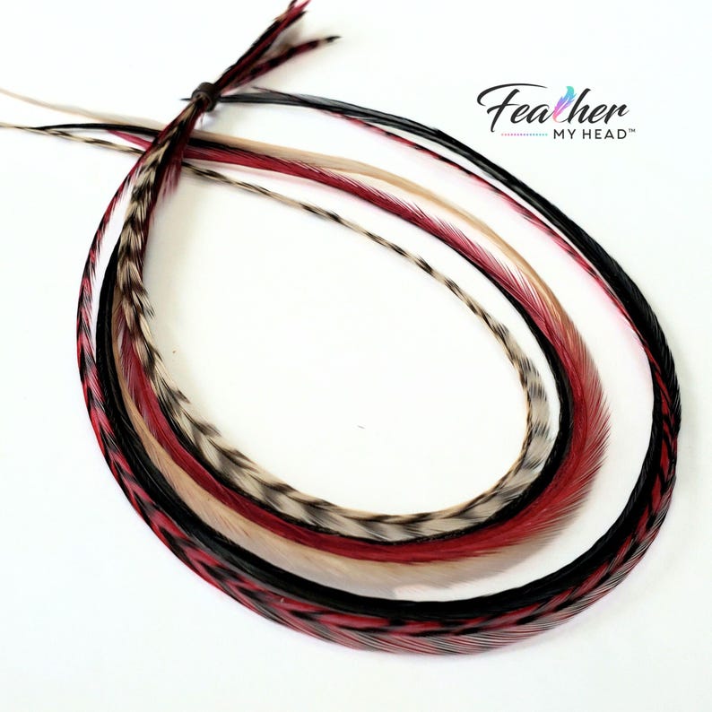 Feather Hair Extension Kit,  6 Real Feathers, Pick Your Length Short to Mega Long 16 In Hair Feathers, Optional DIY Kit, Sedona Mix