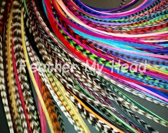 wholesale feathers 9-12" Long: Natural & Bright Colors Salon Pack with Optional Kit