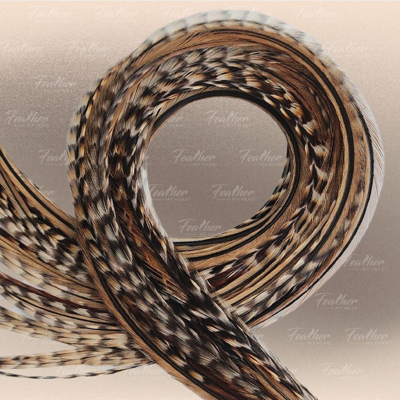 Premium Natural Cree Rooster Feathers - Rare Brown and Black Striped Pattern - 16+ inch Hair Extensions - USA-Sourced