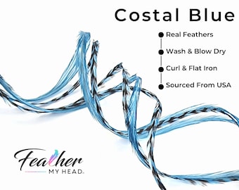 May include: A close-up of a bundle of blue and black feathers. The feathers are arranged in a spiral shape. The text "Costal Blue" is written in black at the top of the image. Below the text, a list of bullet points describes the features of the feathers: "Real Feathers", "Wash & Blow Dry", "Curl & Flat Iron", and "Sourced From USA". The text "Feather MY HEAD" is written in a stylized font at the bottom of the image.