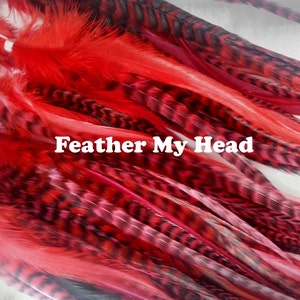 Feather Hair Extensions - Red - Wide Accent Feathers - 7&quot;-11&quot; Long (17.78 cm - 27.94 cm)