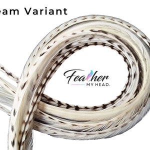 Cream Variant Hair Feather Extensions, Pick Your Length Up to 16 Plus Inches Long, 6 Premium Hair Feathers With Optional Feather Kit