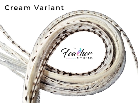 Cream Variant Hair Feather Extensions, Pick Your Length up to 16 Plus  Inches Long, 6 Premium Hair Feathers With Optional Feather Kit 