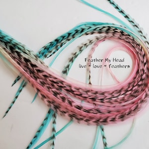 May include: A collection of colorful feathers in shades of turquoise, pink, and black. The feathers are arranged in a swirling pattern, with the text "Feather My Head live ~ love ~ feathers" in the center.