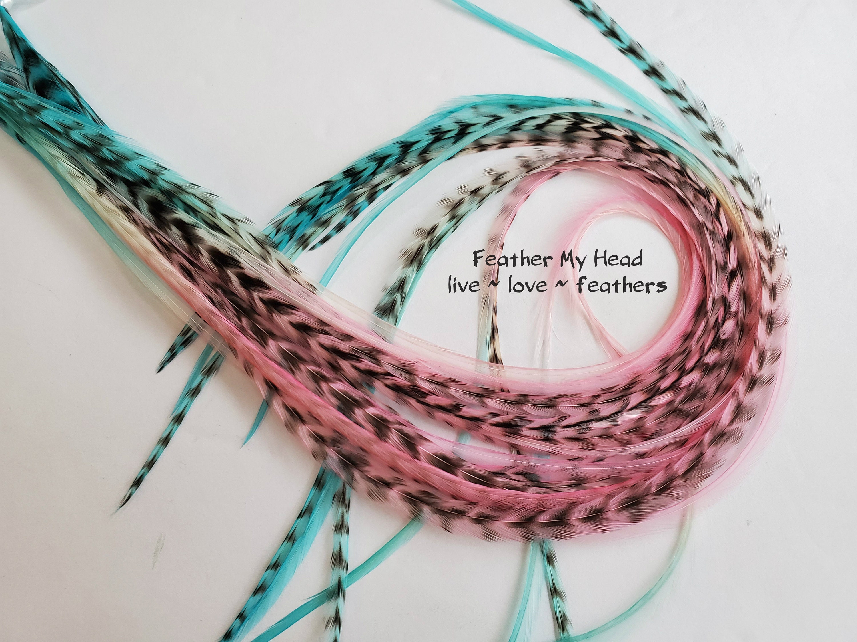  iMeshbean 50Pcs Colourful Hair Feathers 16Inch Synthetic  Feather Hair Extension Kit Women Girls Hair Feather Kit Cat Toys (Synthetic  Hair Feathers 50pcs) : 藝術、手工藝與縫紉