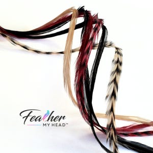 Feather Hair Extension Kit,  6 Real Feathers, Pick Your Length Short to Mega Long 16 In Hair Feathers, Optional DIY Kit, Sedona Mix