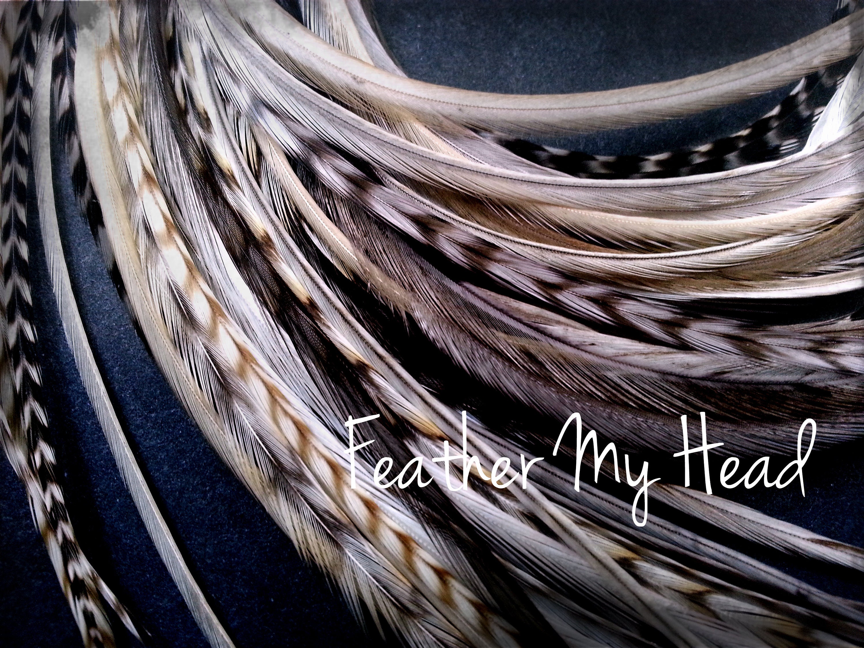 16 Pc Feathers Pick Your Legth Up To 16 In Long Optional DIY Kit