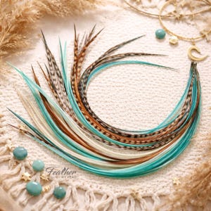 May include: A collection of colorful feather hair extensions in shades of turquoise, brown, black, and cream. The feathers are arranged in a curved shape, with a few gold-colored accents and turquoise beads. The text "Feather MY HEAD" is visible.