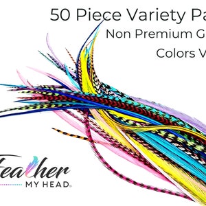 May include: A pack of 50 colorful feathers, non-premium grade, with colors varying. The feathers are arranged in a fan shape and are ready to be used for crafting or hair extensions. The text "Feather My Head" is visible at the bottom of the image.
