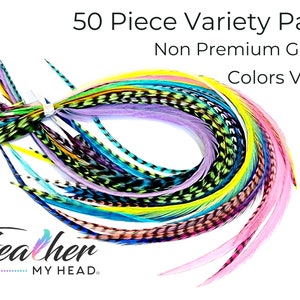 May include: A pack of 50 assorted feathers in various colors, including pink, blue, green, yellow, and purple. The feathers are arranged in a circle and are labeled "50 Piece Variety Pack Non Premium Grade Colors Vary".