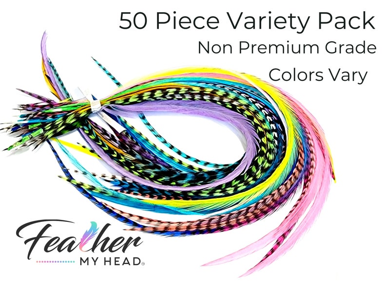 May include: A pack of 50 assorted feathers in various colors, including pink, blue, green, yellow, and purple. The feathers are arranged in a circle and are labeled "50 Piece Variety Pack Non Premium Grade Colors Vary".