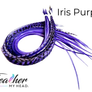 Purple Iris Hair Feather Extensions. (1) Feather, Long Lengths and Hair Feather Kit Available