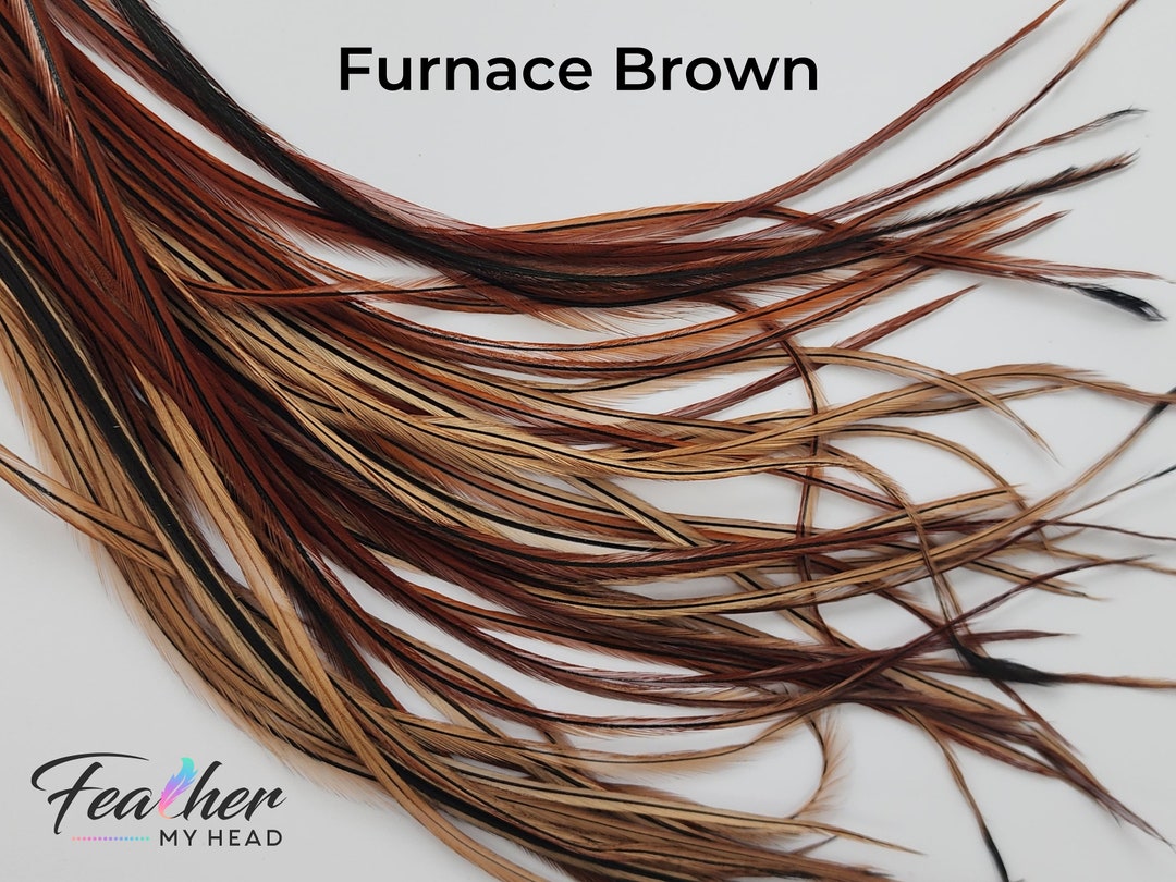 Brown Hair Feather Extensions. 1 Feather, Long Lengths and Hair Feather Kit Available Natural
