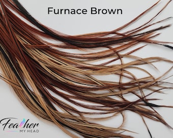 Brown Hair Feather Extensions. (1) Feather, Long Lengths and Hair Feather Kit Available - Natural Furnace Brown Color