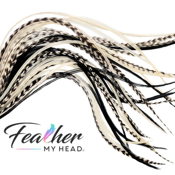 Extensiones de plumas para cabello, 6 plumas premium (elija su largo), plumas largas de más de 16 pulgadas (kit opcional), mezcla de blanco y negro.
