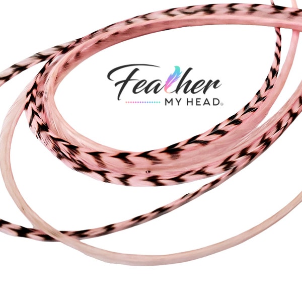 Pastel Baby Pink Hair Feathers, Pick Your Length Over 16 Inches Long, 1 Feather, Optional Feather Kit