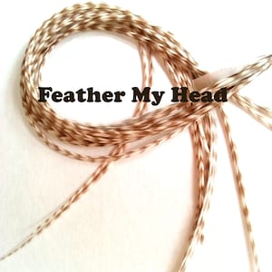 Hair Feathers -Premium Grade Feathers - Select Your Length - Natural Dunn Grizzly w/ Brown Stripes - 7 In (18 cm) Up To 16 In (40 cm) Long
