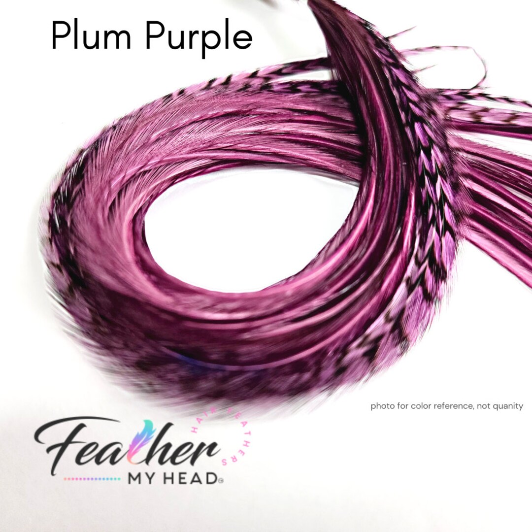 Plum Purple Hair Feather Kit With 6 Real Feathers in Long Long Lengths