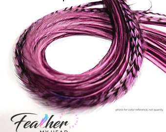 Plum Purple Hair Feather Kit with 6 Real Feathers in Long Long Lengths up to 16 Plus Inches Long