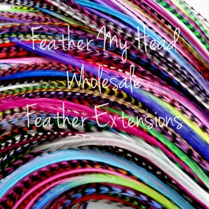 25 Pc Loose Discounted Hair Feather Extension In Bright Colors REAL FEATHERS - Medium Length 7-11 Inches (18-28 cm) Variety Pack