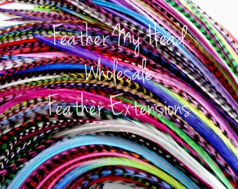 25 Pc Loose Discounted Hair Feather Extension In Bright Colors REAL FEATHERS - Medium Length 7-11 Inches (18-28 cm) Variety Pack