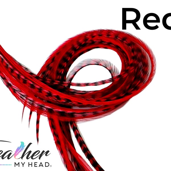 Red Hair Feather Extension Kit. 6 Real Feathers with Long Lengths Available