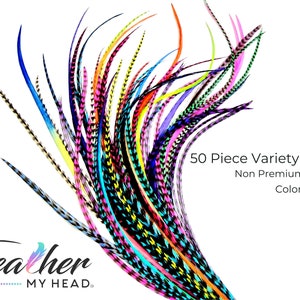 May include: A variety pack of 50 colorful feathers, with black and white patterns. The feathers are arranged in a fan shape. The text "50 Piece Variety Pack Non Premium Grade Colors Vary" is visible in the image. The text "Feather My Head" is also visible in the image.