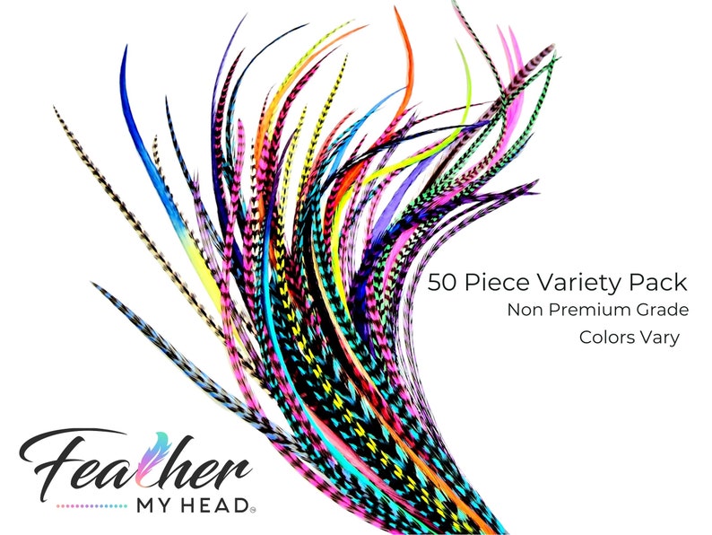May include: A variety pack of 50 colorful feathers, with black and white patterns. The feathers are arranged in a fan shape. The text "50 Piece Variety Pack Non Premium Grade Colors Vary" is visible in the image. The text "Feather My Head" is also visible in the image.
