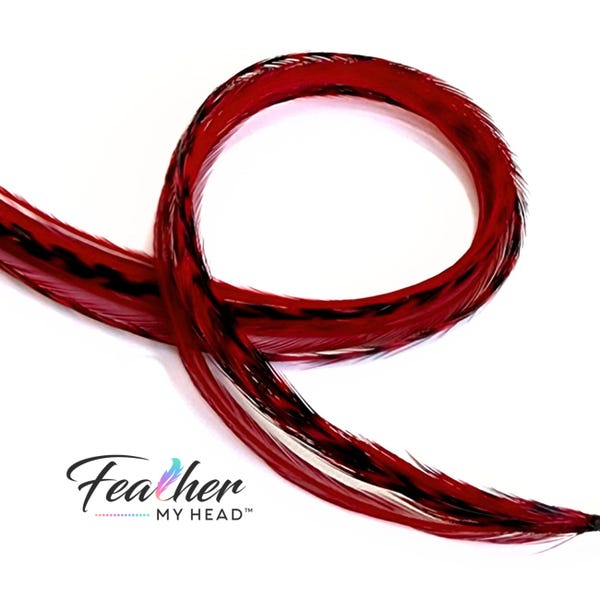 Deep Red Hair Feather Extensions. (6) Feathers, Long Lengths and Hair Feather Kit Available