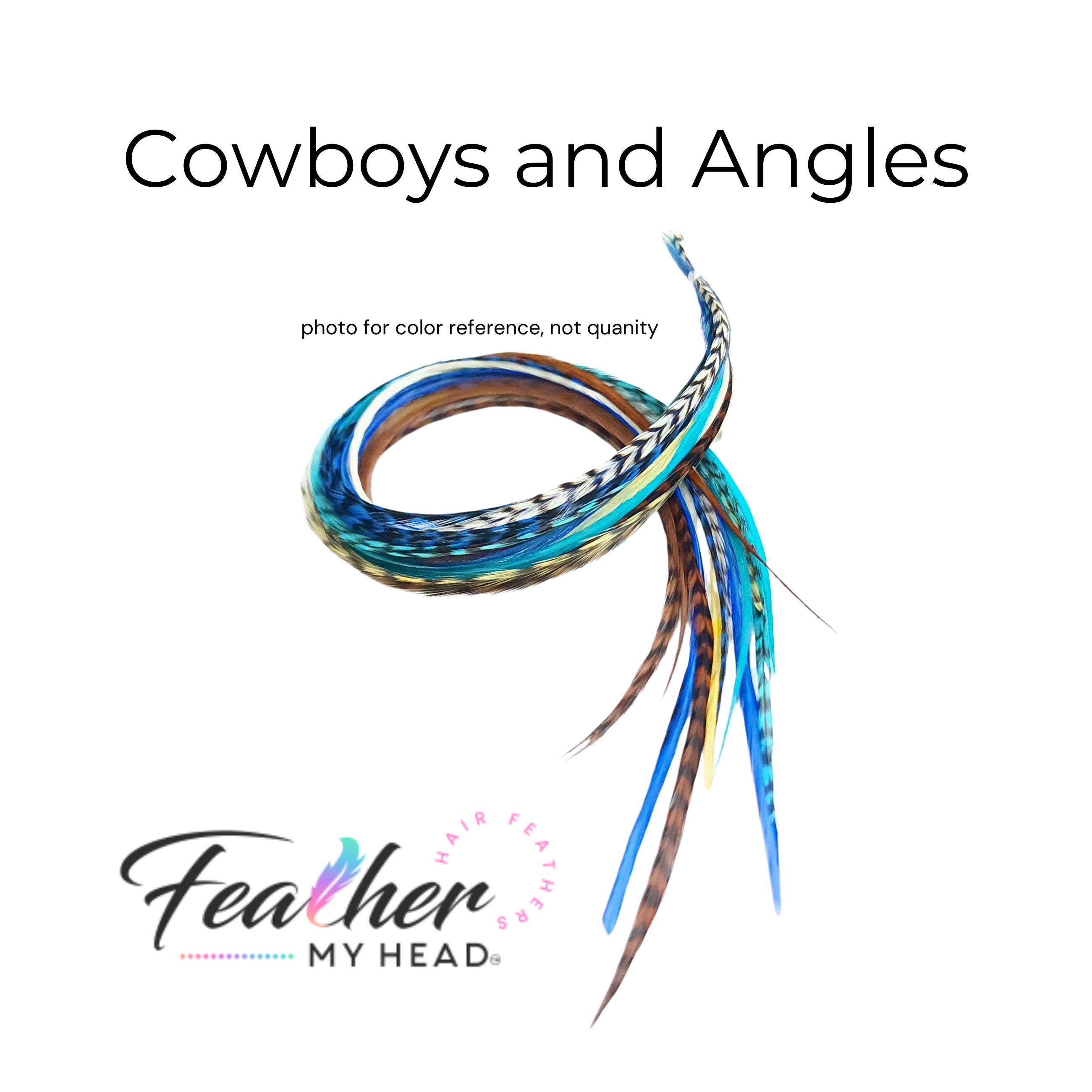 Feather Hair Extension Kit, 6 Real Feathers, Pick Your Length Short to Mega  Long 16 in Hair Feathers, Optional DIY Kit, Sedona Mix 
