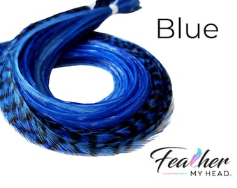 Könnte beinhalten: Blaue Federboa mit schwarzen Spitzen. Die Boa ist kreisförmig angeordnet und zeigt die Textur und Farbe der Federn.