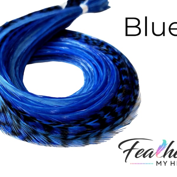 Blue Hair Feather Extensions. 6 Hair Feathers, Long Lengths and Hair Feather Kit Available