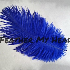 Ostrich Feathers 5 Pc 68 Long 2.36-3.14cm Pick Your Color image 5