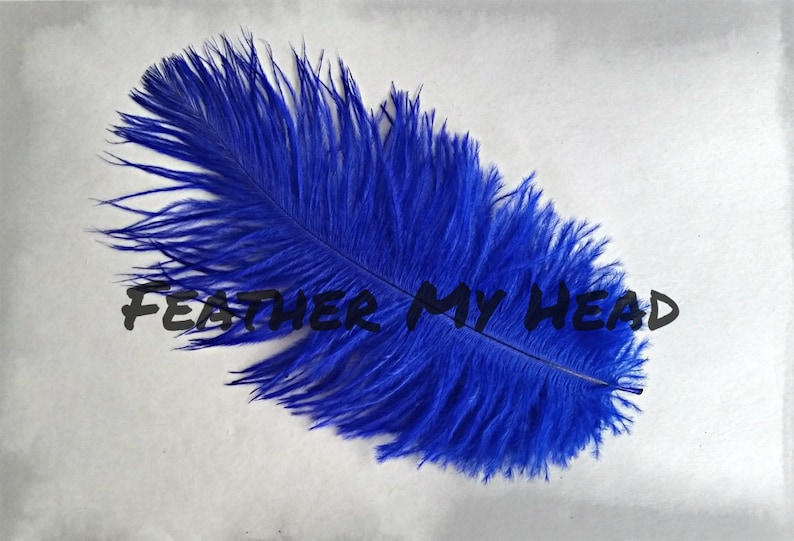 Ostrich Feathers 5 Pc 68 Long 2.36-3.14cm Pick Your Color image 5