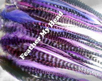 May include: A bunch of purple, white, and black feathers with the text "Feather My Head" printed on them.