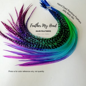 6 Feather Hair Extensions Multi Color Rainbow Ombe Tye Dye Long 9-12 In (23-28cm) Premium Grade - Jelly Belly - Grizzly / Solid